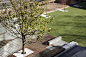 【校园景观】澳大利亚皇家墨尔本理工大学公共草坪RMIT <wbr>University <wbr>Lawn