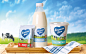 Iskrenne Vash - only fresh and selected milk! : Packaging and identity for the line of dairy products for Iskrenne Vash brand!