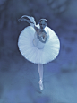 ingrid-bugge-ballet-photography-10