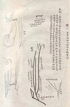 人体结构终结者采集到褶皱