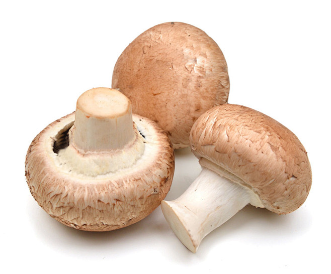 蘑菇食材图片