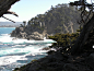 point-lobos-resource-3.jpg (4000×3000)