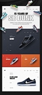 15 Years of SB Dunk on Behance