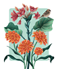 birds botanical floral Flowers ILLUSTRATION  Illustrator Positive Quotes reminder typography  