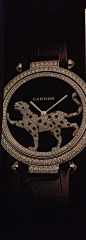 Lion'esque watch uncovered! When it's that amazing, it's price upon request. #Cartier