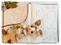 #玩偶制作纸样#几个玩偶的纸样合集，需要的同学可以转发mark一下~ ​​​​