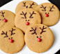 Reindeer Cookies