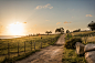 #Corsica, #landscapes, #sunset, #nature, #roads, #fences, #fields, #rocks | Wallpaper No. 170479 - wallhaven.cc