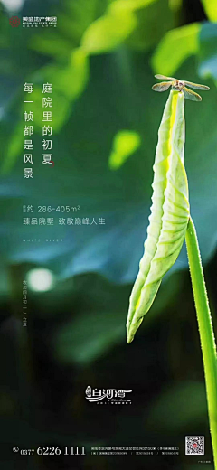 hgphuaban采集到节日海报