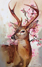 动物和花水彩画，泰国美女画家