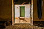 A photo of a lynx in a doorway