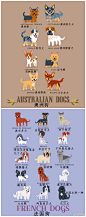 世界上的狗按国家分类，看看你喜欢的狗来自哪儿