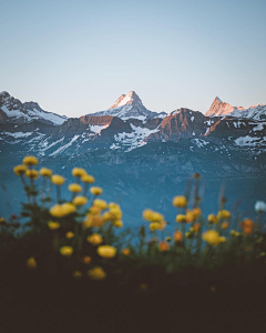 轩慜采集到风景