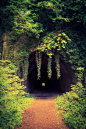 Abandoned Rail Tunnel, Monmouthshire, Wales
photo via yesenia