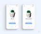 10+ Best iPhone X UI Designs for Your Inspiration on Behance