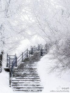 雪景