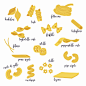 Vector illustration set of different types of pasta.