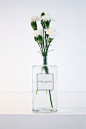 Perfume bottle vase