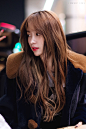 HaNi