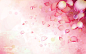 幻彩植物花卉背景 [第10张] | 1920×1200 | 设计、幻彩植物花卉背景 | 清风桌面 www.winddesktop.com