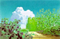 宫崎骏动漫里的唯美夏天，原来都是他画的 - 视觉志