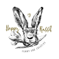 手绘线稿素描植物动物兔子花卉鸡蛋插图PNG+PSD设计元素  (1)