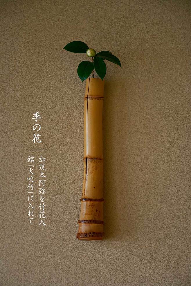 季の花 季の花 茶道　花　生け花表千家　...