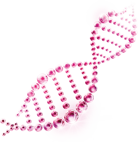 dna-2.png (586×607)