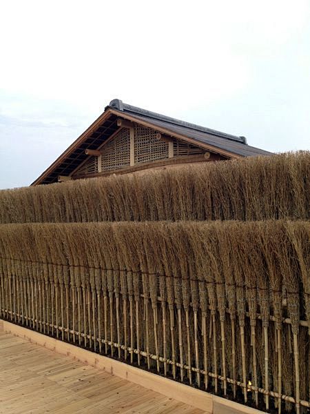 Bamboo broom hedge, ...