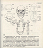 好书推荐《人体造型基础》 沈兆荣 编著 上海教育出版社_看图_洪福画室吧_百度贴吧