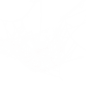 蜘蛛网蜘蛛丝恐怖元素免抠透明背景PNG万圣美易后期合成PS素材图 (60)