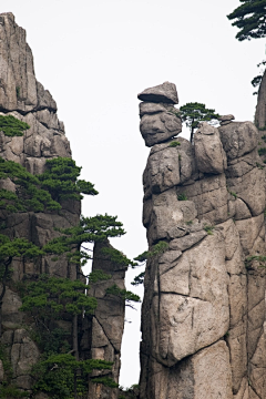 南方的海采集到3山石