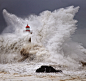 Photograph Enduring the elements 2 by Veselin Malinov on 500px