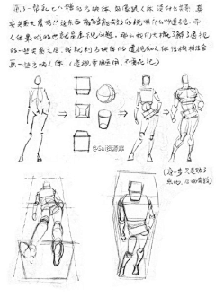 琉锦采集到人体练习资料