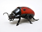 Ladybug Beetle, glass ladybug by Wesley Fleming