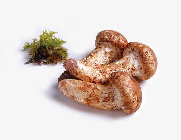 e21bf2be1d40d4ab036a887e6987e061d9a1a3709fad-d7Dd2U