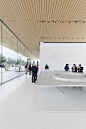 apple park - KRISTA JAHNKE | PHOTOGRAPHY + DESIGN |