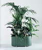 Cristina Celestino | Jardiniere | big planter for the home