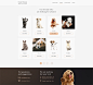 动物收容所网站模板 - 免费资源 - animal-shelter-website-template-v70.jpg