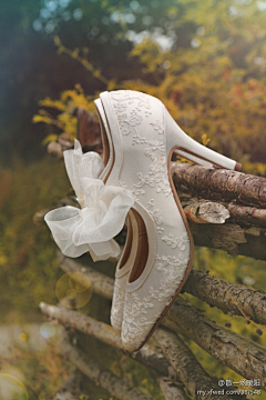 尚尚国际爱克拉婚礼采集到新娘美鞋