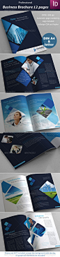 Business Brochure 12 pages - GraphicRiver Item for Sale