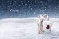 Cartier's Winter Tale Holiday Campaign '11