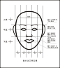 关于画画上，人侧面的那个三庭五眼比例是怎么的_百度知道