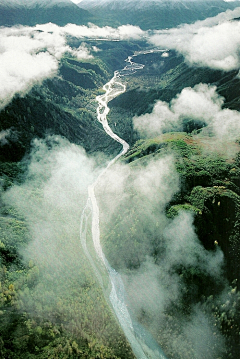 壹子年采集到实景