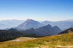 扒手没有手采集到树林 山水森林 背景