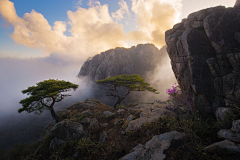 fxnlw采集到风景