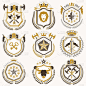 一套豪华纹章矢量模板。矢量符号纹章的集合使用图形元素，皇家皇冠，中世纪城堡，军械库和宗教十字架。