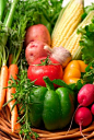 How to Keep Vegetables Fresh: Smart Storage