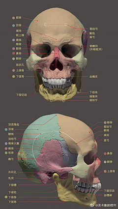 欻燚采集到人体结构