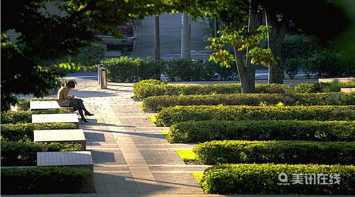 东京外国语大学几何形景观设计